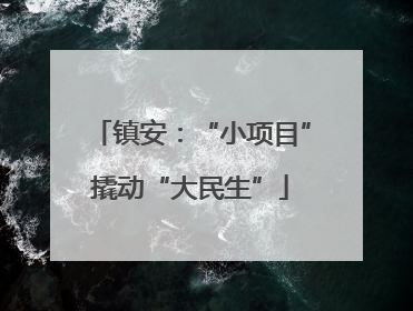 镇安：“小项目”撬动“大民生”