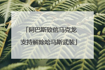 阿巴斯致信马克龙 支持解除哈马斯武装