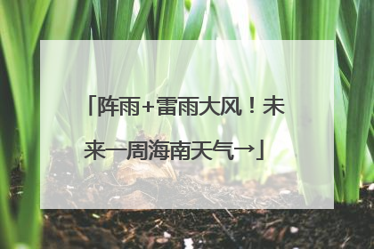 阵雨+雷雨大风！未来一周海南天气→