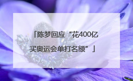 陈梦回应“花400亿买奥运会单打名额”