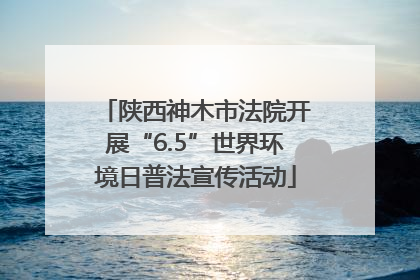 陕西神木市法院开展“6.5”世界环境日普法宣传活动
