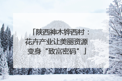 陕西神木铧西村：花卉产业让美丽资源变身“致富密码”