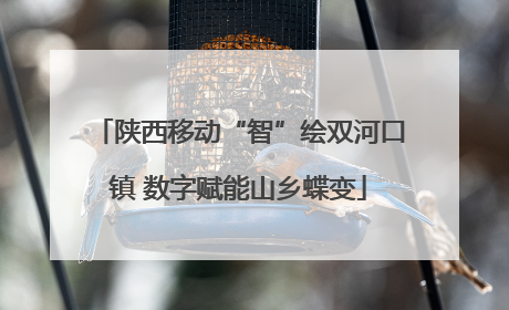 陕西移动“智”绘双河口镇 数字赋能山乡蝶变