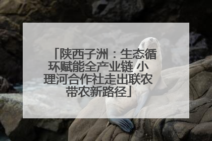 陕西子洲：生态循环赋能全产业链 小理河合作社走出联农带农新路径