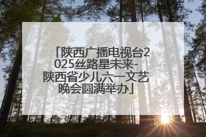陕西广播电视台2025丝路星未来-陕西省少儿六一文艺晚会圆满举办