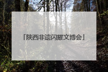 陕西非遗闪耀文博会