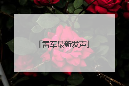 雷军最新发声