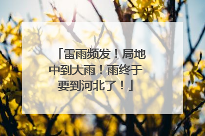 雷雨频发！局地中到大雨！雨终于要到河北了！