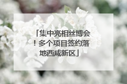 集中亮相丝博会！多个项目签约落地西咸新区