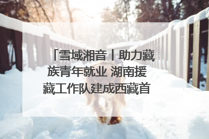 雪域湘音丨助力藏族青年就业 湖南援藏工作队建成西藏首个清洁能源装备园