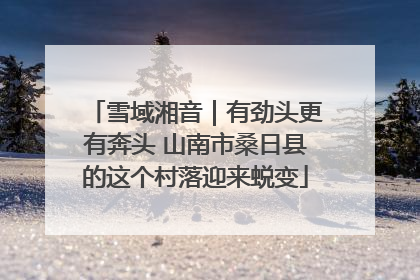 雪域湘音｜有劲头更有奔头 山南市桑日县的这个村落迎来蜕变
