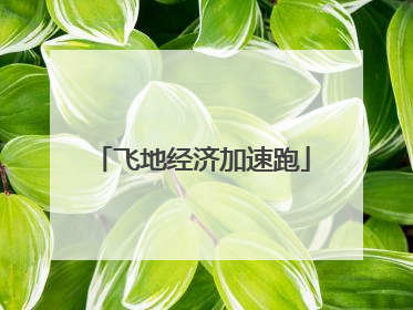 飞地经济加速跑