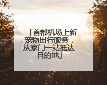 首都机场上新宠物出行服务，从家门一站抵达目的地