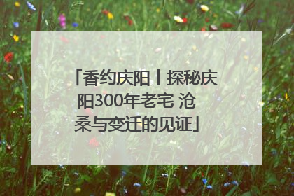 香约庆阳丨探秘庆阳300年老宅 沧桑与变迁的见证