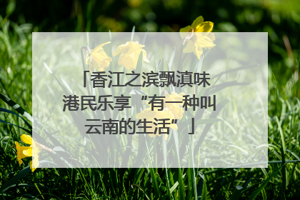 香江之滨飘滇味 港民乐享“有一种叫云南的生活”