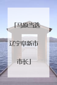 马原当选辽宁阜新市市长