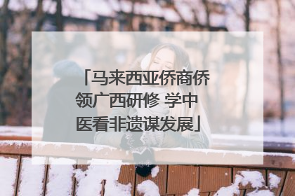 马来西亚侨商侨领广西研修 学中医看非遗谋发展