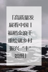 高质量发展看中国丨福稻金浪千重绘就乡村振兴“丰”景图