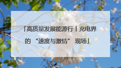 高质量发展能源行丨充电界的 “速度与激情” 现场
