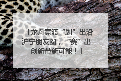龙舟竞渡“划”出沿沪宁朋友圈，“赛”出创新带新可能！