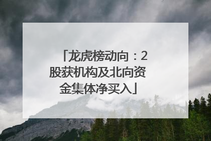 龙虎榜动向：2股获机构及北向资金集体净买入