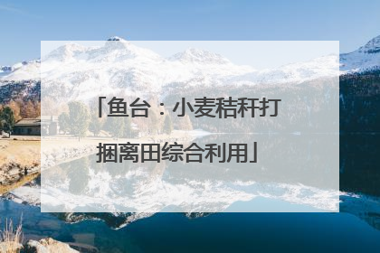 鱼台：小麦秸秆打捆离田综合利用