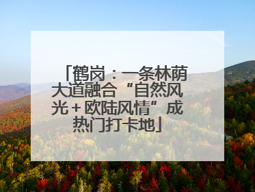 鹤岗：一条林荫大道融合“自然风光＋欧陆风情”成热门打卡地