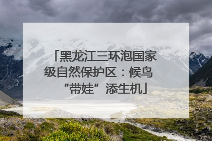 黑龙江三环泡国家级自然保护区：候鸟“带娃”添生机