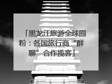黑龙江旅游全球圈粉：各国旅行商“群聊”合作揽客