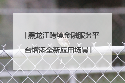 黑龙江跨境金融服务平台增添全新应用场景
