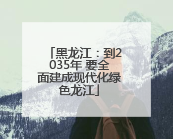 黑龙江：到2035年 要全面建成现代化绿色龙江
