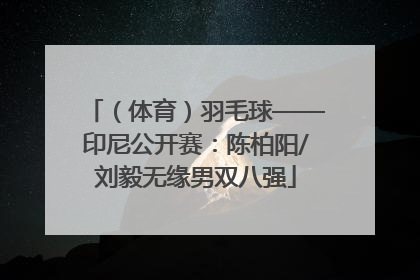 （体育）羽毛球——印尼公开赛：陈柏阳/刘毅无缘男双八强