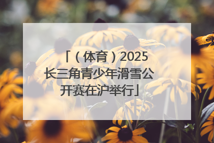 （体育）2025长三角青少年滑雪公开赛在沪举行