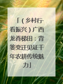 （乡村行·看振兴）广西龙脊梯田：背篓变迁见证千年农耕传统魅力