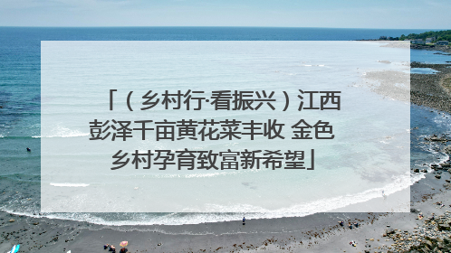 （乡村行·看振兴）江西彭泽千亩黄花菜丰收 金色乡村孕育致富新希望