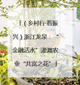 （乡村行·看振兴）浙江龙泉：“金融活水”灌溉农业“共富之花”