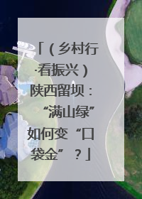 （乡村行·看振兴）陕西留坝：“满山绿”如何变“口袋金”？