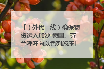 （外代一线）确保物资运入加沙 德国、芬兰呼吁向以色列施压