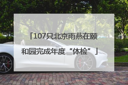 107只北京雨燕在颐和园完成年度“体检”