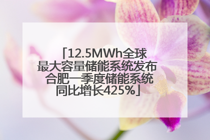 12.5MWh全球最大容量储能系统发布 合肥一季度储能系统同比增长425%