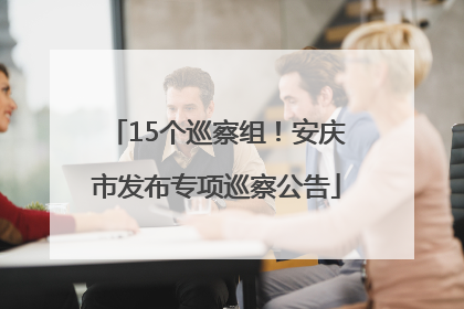 15个巡察组！安庆市发布专项巡察公告