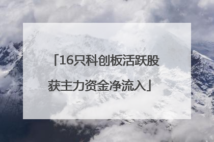 16只科创板活跃股获主力资金净流入