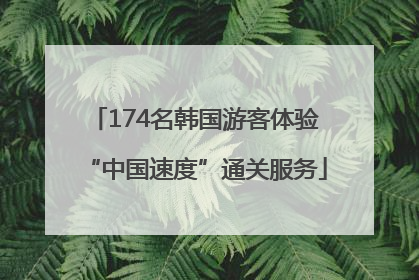 174名韩国游客体验“中国速度”通关服务