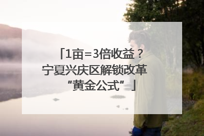 1亩=3倍收益？宁夏兴庆区解锁改革“黄金公式”