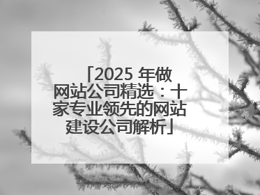 2025 年做网站公司精选：十家专业领先的网站建设公司解析