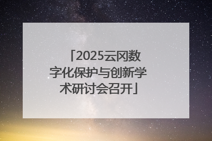 2025云冈数字化保护与创新学术研讨会召开