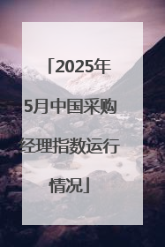 2025年5月中国采购经理指数运行情况