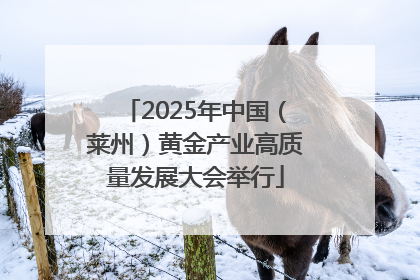 2025年中国（莱州）黄金产业高质量发展大会举行