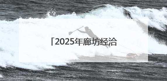 2025年廊坊经洽会·深度｜实现物流新愿景 河北再出发