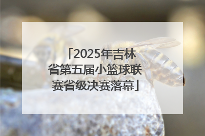 2025年吉林省第五届小篮球联赛省级决赛落幕